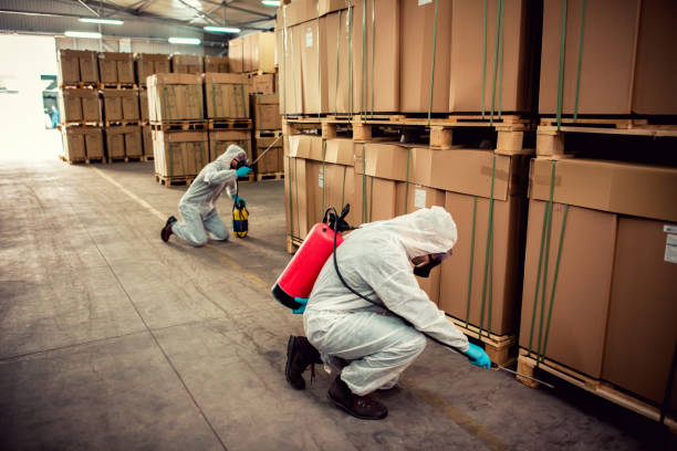 Pest Control Cost in Kane, PA