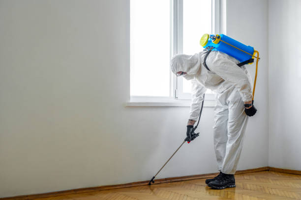 Best Insect Control  in Kane, PA