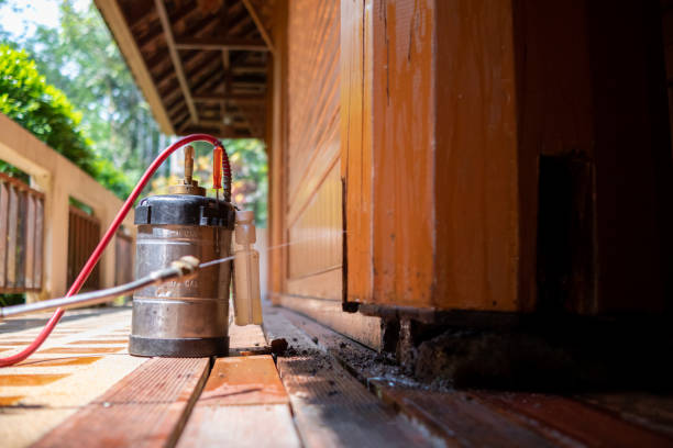 Pest Control for Restaurants in Kane, PA